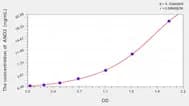 Human ANO2(Anoctamin 2) ELISA Kit