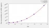 Mouse LRP8(Low Density Lipoprotein Receptor Related Protein 8) ELISA Kit