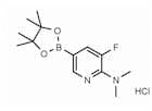2-(N,N-Dimethylamino)-3-fluoropyridine-5-boronic acid pinacol ester hydrochloride