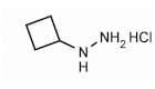 Cyclobutylhydrazine hydrochloride
