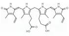 Bilirubin