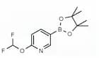 6-(Difluoromethoxy)pyridin-3-ylboronic acid pinacol ester