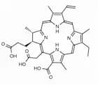 Chlorin e6