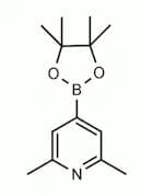 2,6-Dimethylpyridin-4-ylboronic acid pinacol ester