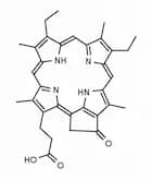 Phylloerythrin