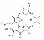 Pheophorbide a (mixture of diastereomers)