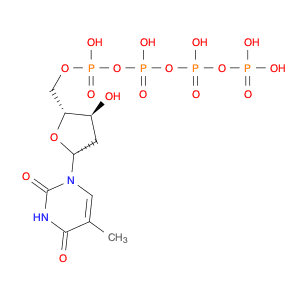 Thymidine 5'-(pentahydrogen tetraphosphate)