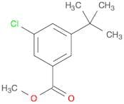 Benzoic acid, 3-chloro-5-(1,1-dimethylethyl)-, methyl ester