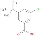 Benzoic acid, 3-chloro-5-(1,1-dimethylethyl)-