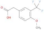 Benzeneacetic acid, 4-methoxy-3-(trifluoromethyl)-