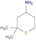 2H-Thiopyran-4-amine, tetrahydro-2,2-dimethyl-