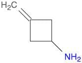 Cyclobutanamine, 3-methylene-