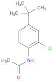 Acetamide, N-[2-chloro-4-(1,1-dimethylethyl)phenyl]-