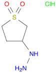 Hydrazine, (tetrahydro-1,1-dioxido-3-thienyl)-, hydrochloride (1:1)