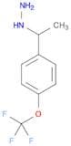 Hydrazine, [1-[4-(trifluoromethoxy)phenyl]ethyl]-
