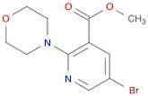 3-Pyridinecarboxylic acid, 5-bromo-2-(4-morpholinyl)-, methyl ester