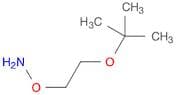Hydroxylamine, O-[2-(1,1-dimethylethoxy)ethyl]-