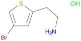 2-Thiopheneethanamine, 4-bromo-, hydrochloride (1:1)