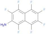 2-Naphthalenamine, 1,3,4,5,6,7,8-heptafluoro-