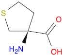 3-Thiophenecarboxylic acid, 3-aminotetrahydro-, (S)- (9CI)