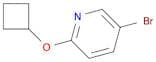 Pyridine, 5-bromo-2-(cyclobutyloxy)-