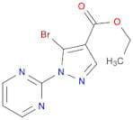 1H-Pyrazole-4-carboxylic acid, 5-broMo-1-(2-pyriMidinyl)-, ethyl ester