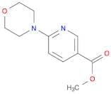 3-Pyridinecarboxylic acid, 6-(4-morpholinyl)-, methyl ester