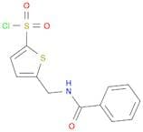 2-Thiophenesulfonyl chloride, 5-[(benzoylamino)methyl]-