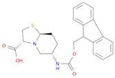 5H-Thiazolo[3,2-a]pyridine-3-carboxylic acid, 6-[[(9H-fluoren-9-ylmethoxy)carbonyl]amino]hexahydro…