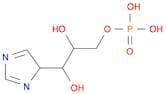 1,2,3-Propanetriol, 1-(1H-imidazol-4-yl)-, 3-(dihydrogen phosphate), monohydrate, (1S,2R)- (9CI)