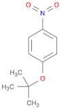 Benzene, 1-(1,1-dimethylethoxy)-4-nitro-