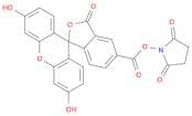 5-Carboxyfluorescein-N-hydroxysuccinimide Ester