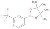 2-(TRIFLUOROMETHYL)PYRIDIN-4-YLBORONIC ACID PINACOL ESTER