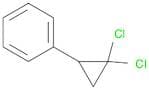 (2,2-Dichlorocyclopropyl)benzene