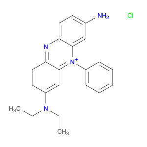 CI 50206