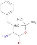 D-Homophenylalanine tert-Butyl Ester