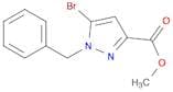 METHYL 1-BENZYL-5-BROMOPYRAZOLE-3-CARBOXYLATE