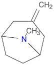 8-METHYL-3-METHYLENE-8-AZA-BICYCLO[3.2.1]OCTANE