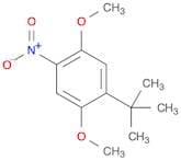 Benzene, 1-(1,1-dimethylethyl)-2,5-dimethoxy-4-nitro-