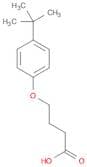 Butanoicacid, 4-[4-(1,1-dimethylethyl)phenoxy]-
