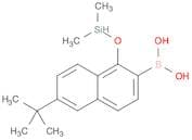 Boronic acid,B-[6-[[(1,1-dimethylethyl)dimethylsilyl]oxy]-2-naphthalenyl]-
