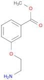 METHYL 3-(2-AMINOETHOXY)BENZOATE