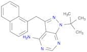 PP1 Analog II, 1NM-PP1