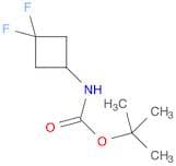 tert-butyl 3,3-difluorocyclobutylcarbaMate