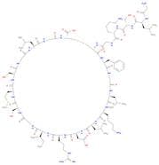 C-TYPE NATRIURETIC PEPTIDE (32-53) (HUMAN, PORCINE, RAT)