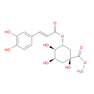 3-O-Caffeoylquinic acid methyl ester