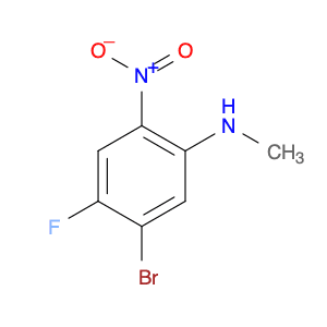 (5-Bromo-4-fluoro-2-nitro-phenyl)-methyl-amine
