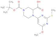 4-(6-Methoxy-2-Methylsulfanyl-pyriMidin-4-yl)-piperazine-1,3-dicarboxylic acid 1-tert-butyl ester