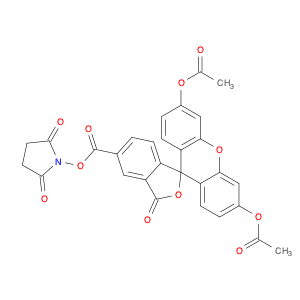 5(6)-(N-SUCCINIMIDYLOXYCARBONYL)-3',6',O,O'-DIACETYLFLUORESCEIN