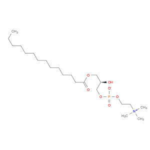 1-MYRISTOYL-SN-GLYCERO-3-PHOSPHOCHOLINE